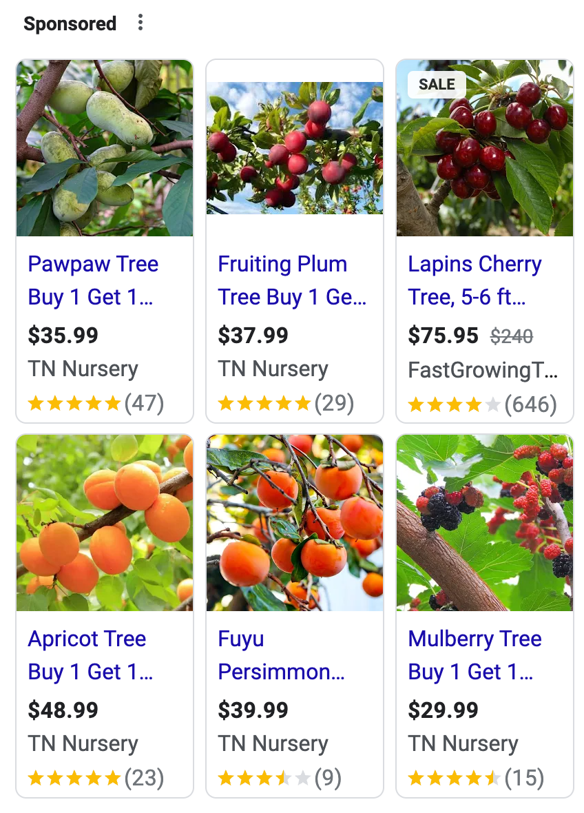 volusion-ravecapture-google-shopping volusion-ravecapture-google-shopping