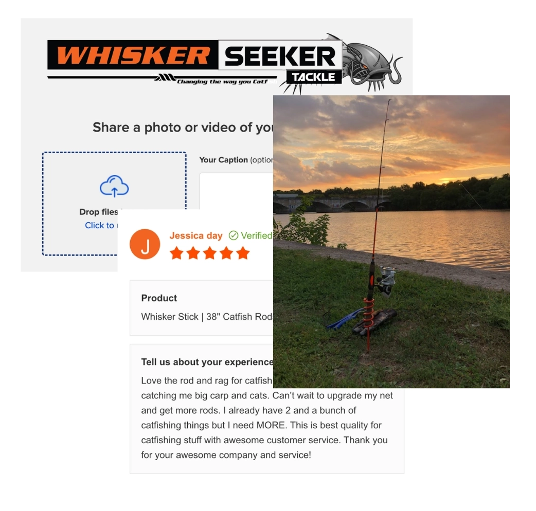 whiskerseeker Collect actionable insights with experience surveys